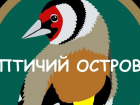 «Полноценный заказ»: в регионе хотят закрыть центр реабилитации для животных «Птичий Остров»
