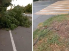 Оборванные провода и рухнувшие деревья: последствия сильного ветра попали на видео в Волжском