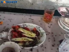 Полчища мух оккупировали дома сельчан близ Волжского: видео