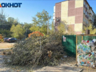 Волжская администрация выделила 600 тысяч рублей на вывоз листьев и сухостоя