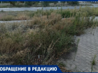 «Косили, не докосили»: волжане возмущены заброшенным покосом в 27-м микрорайоне
