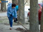 31 октября в Волжском пройдёт масштабный субботник