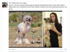 Родственники жестоко убитой Волжанки разыскивают её собаку, которая находится в Ростовской области