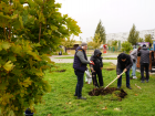 Волжан вооружили лопатами: в городском парке высадили 100 деревьев