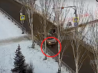 Ребенка сбили по дороге в гимназию на пешеходном переходе в Волжском: видео