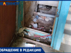 Волжане задыхаются в 40-градусную жару от вони с подвала: УК «Лада-Дом» бездействует