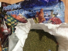 В Камышине прикрыт крупный канал поставки марихуаны