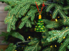 Новый год закончился, а елка осталась: 35% волжан не хотят расставаться с новогодним деревцем