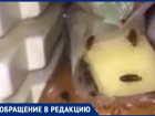 Толпы тараканов в холодильниках, лекарствах и постелях: антисанитарию в больнице Фишера в Волжском сняли на видео