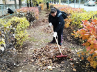 В Волжском начался месячник благоустройства