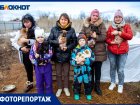 Злые от одиночества и голода: в Волжском с бродячими собаками начали бороться любовью