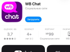 Жителям Волжского предложили новый мессенджер от Wildberries*