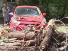 Сильный ветер повалил деревья на машины и дороги в Волжском: фото