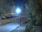 Собаки напали на мужчину в парке Волжского: видео