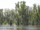 С 17 мая в Волгоградском регионе начнётся снижение уровня воды