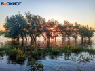 В Волгоградской области начали обработку водоемов от личинок комара