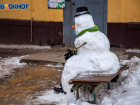 В день домашних насекомых Волжский занесет снегом: прогноз погоды