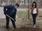 Новые деревья высадили в Волжском 
