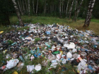 Природоохранные службы начали очищать территорию от залежей отходов под Волжским