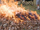 В Волжском запрещено сжигать мусор и разводить костры