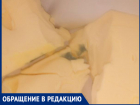 "Масло с сюрпризом" - зеленеющая плесень пришлась не по вкусу волжанке