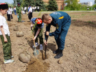 В Волжском посадили символ Победы: парк украсил клон легендарного тополя