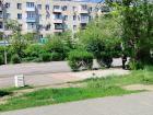 Под открытым небом: волжане ждут, когда решат проблему остановки на Карбышева