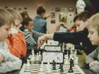 Волжские шахматисты - в числе лучших в области