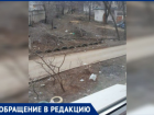 Растаявший снег обнажил волжские «подснежники»: горы мусора и спиленные ветки во дворах города