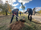 Ассоциация парков России заложила аллею в Волжском