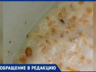 Разбавленное водой пюре и каша с насекомыми: как кормят в детской больнице Волжского