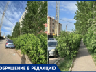 Жителей 38-го микрорайона Волжского атакуют кусты-гиганты, перекрывшие тротуар и парковку кусты
