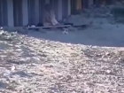 Секс на пляже молодой пары попал на видео в Волгограде: кругом были дети
