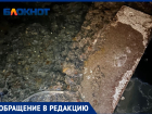 Подвал становится кладбищем и трупный запах в подъезде не дает волжанам спокойно жить  