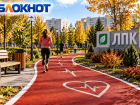 Почти 1,7 миллиона рублей потратят на кардиодорожку в Волжском