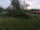 Водитель и пассажирка скончались на месте: подробности жуткого ДТП в Волгоградской области