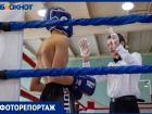 16 волжан победили в открытом турнире по кикбоксингу: фоторепортаж