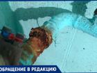 Пятый день без воды живет дом с УК без лицензии в Волжском 