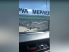 «Некуда машину поставить»: в Волжском опустошают полки Леруа Мерлен