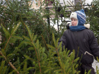 В Волжском организуют пять ярмарок по продаже новогодних деревьев