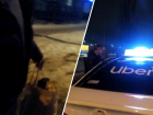 В Волжском водитель такси выгнал пассажирку из салона за советы: видео