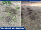 В Волжском «коммунальщики» уничтожили цветники у дома на Горького, 46
