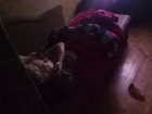 «Полгода без душа и помощи»: в Волжском одинокая женщина ползает по комнате, чтобы выжить