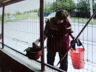 Неизвестная женщина украла цветы из горшков офиса в Волжском