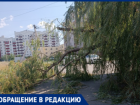 Волжане жалуются на мусор и поваленные деревья спустя неделю после урагана