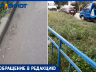 «Мы задыхаемся от черной пыли и пыльцы»: волжанка просит принять меры