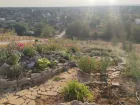 В волжском ботаническом саду школьники высадили более 200 саженцев