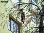 В Волжском из окна второго этажа выпал 4-летний ребенок