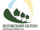 В Волжском выбрали эмблему на новый ботсад по итогам конкурса