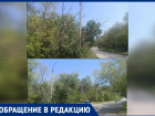 В Волжском после грозы дерево повисло на линиях электропередач